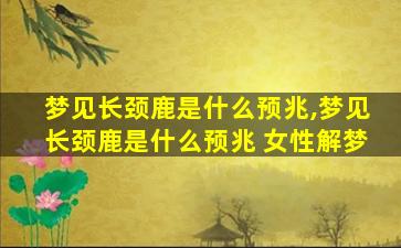 梦见长颈鹿是什么预兆,梦见长颈鹿是什么预兆 女性解梦